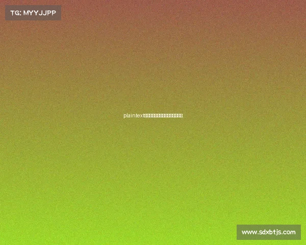 plaintext电子竞技赛事工作人员不完全指南